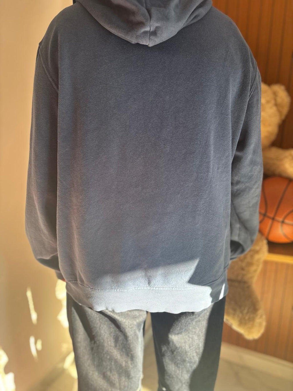 Felpa the North face