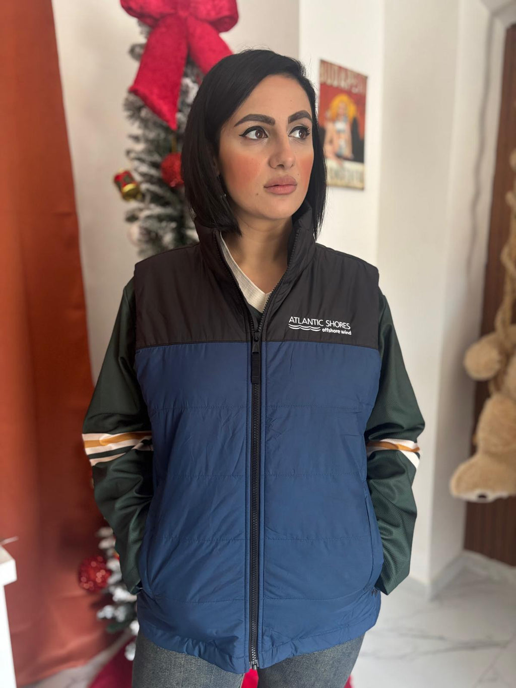 Bomber the North face